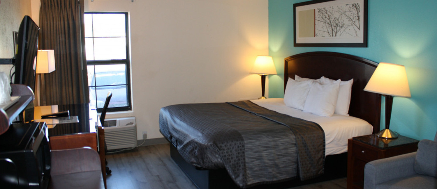 Spacious Pet-friendly Accommodations At Executive Inn