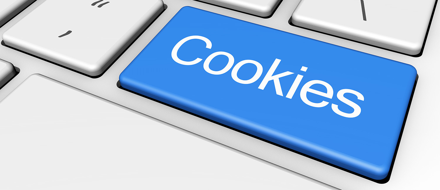 Website Cookie Policy For Executive Inn